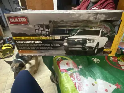 blazer international , View more