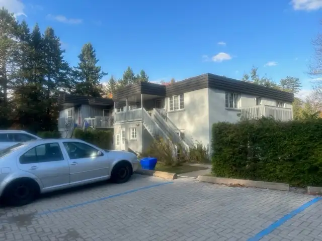 HUNTSVILLE 1 BEDROOM APARTMENT CALL MIKE (705)788-5796