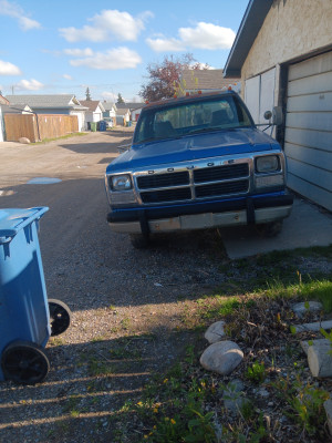 1991 Dodge Other Pickups