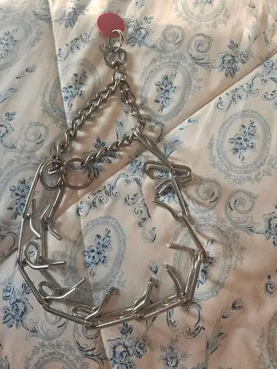 Collier étrangleur pour chien, View more