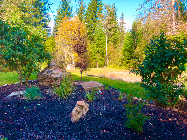 $1750 / 1BR HIDDEN FOREST OASIS DAYLIGHT SUITE: April 15th, 2024 in Long Term Rentals in Vernon