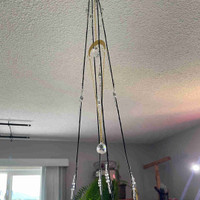 Bling plant hanger, pot and spider plant