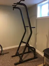 Northern Light Power Tower Chin Pull Up / Dips Station