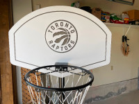 Kids or poolside basketball net - Toronto raptors backboard