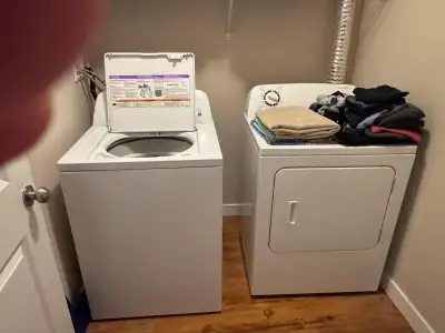 Looking for a roommate