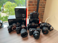 Sony Cameras HUGE SALE!