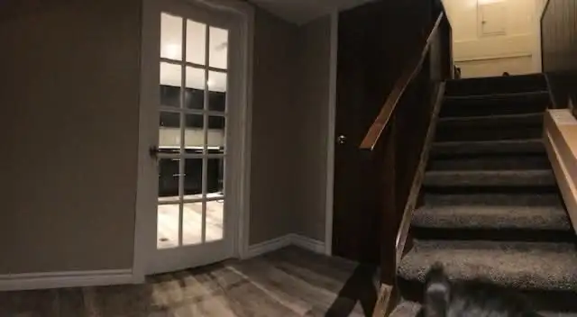 Basement for rent