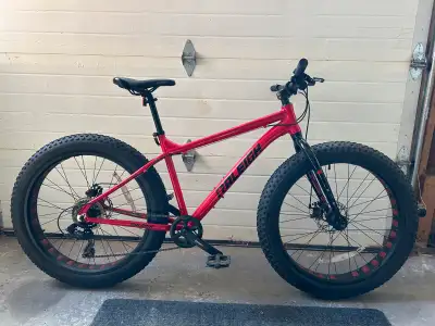 I am looking to sell my Raleigh Rogue Hardtail fat tire bike. It has 4” fat tires with a 7-speed shi...