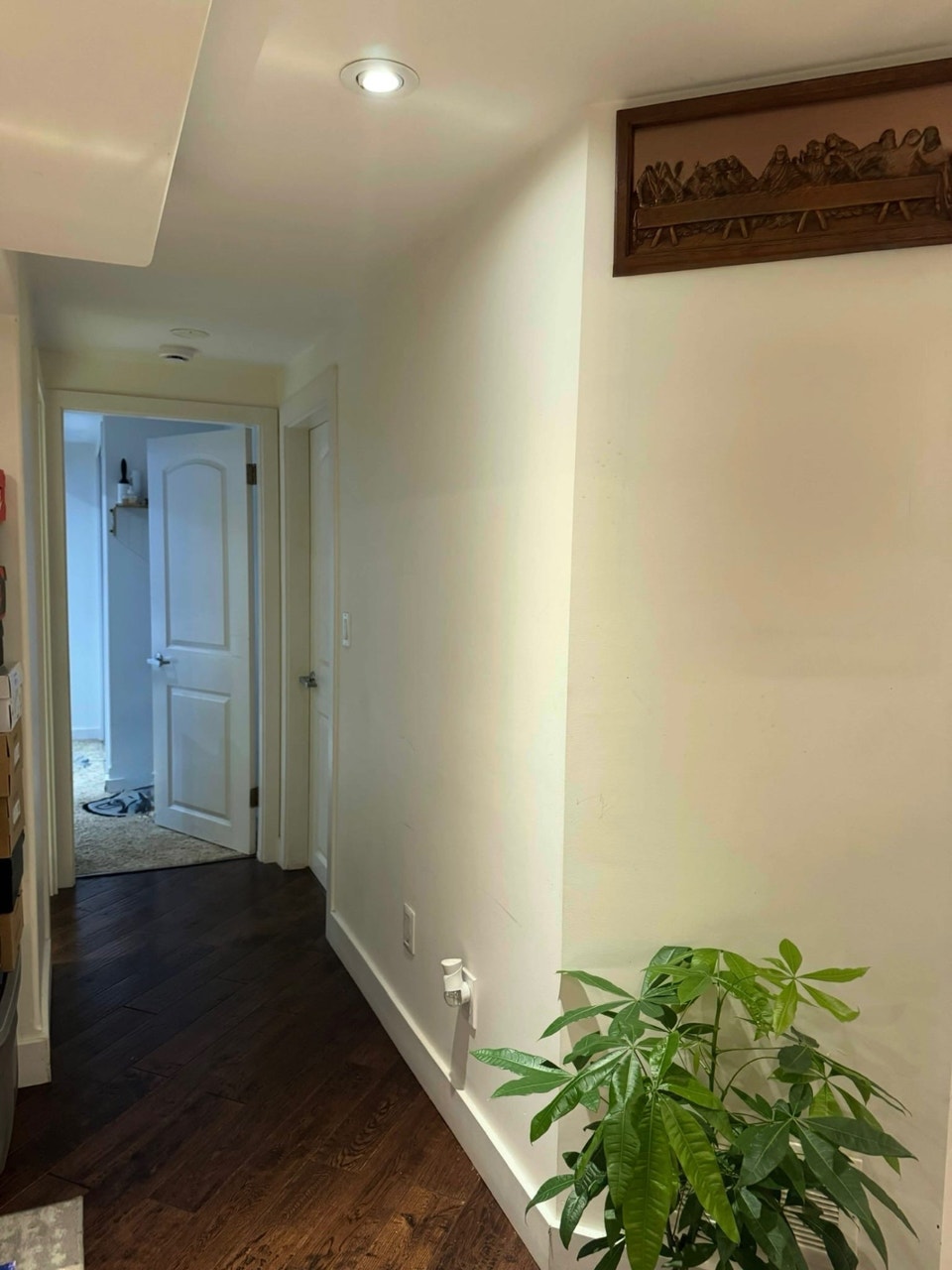 ONE BEDROOM BASEMENT APARTMENT IN HIGH PARK/JUNCTION 3