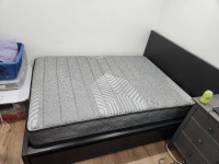 Full/ Double Ikea Malm bedframe + mattress
