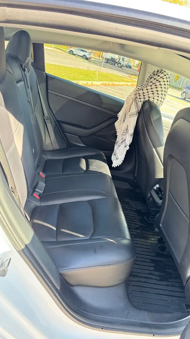 2021 Tesla Model 3 SR+598246684571750405