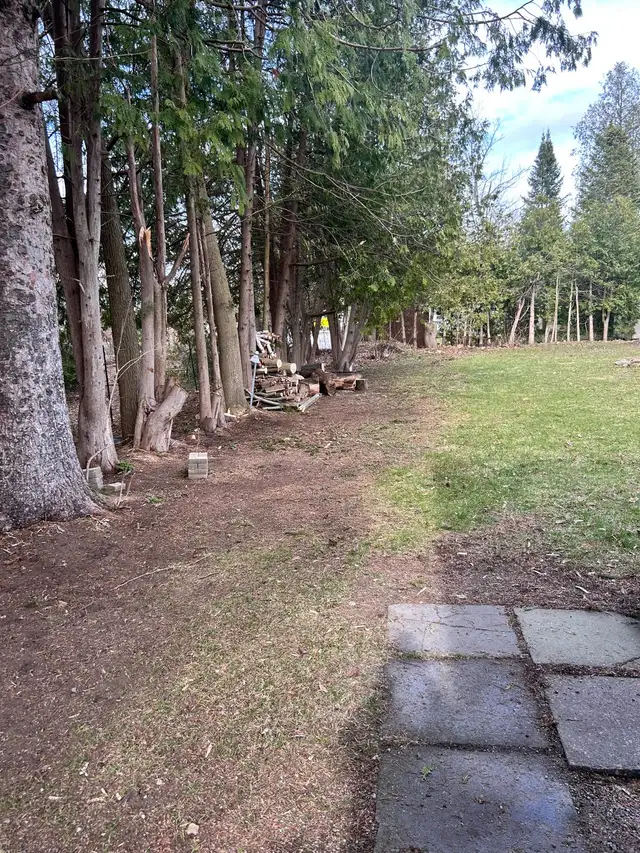Yard Cleanup & Garbage Removal in Other in Barrie - Image 10