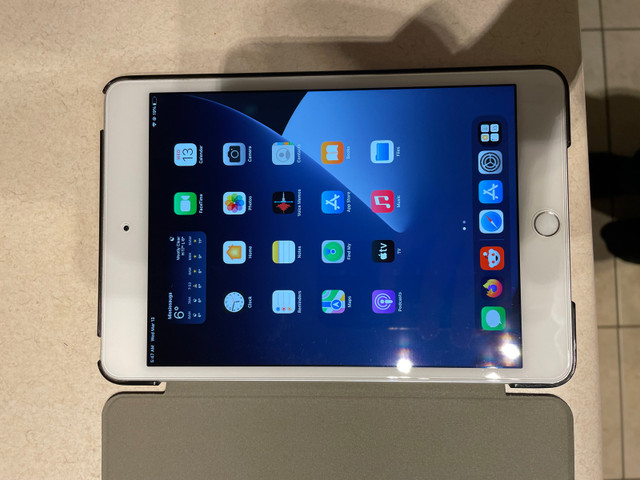 iPad mini 4 dans iPad et tablettes  à Région d’Oakville/Halton - Image 2