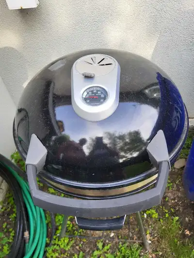 BBQ avec priquet d allumage , View more