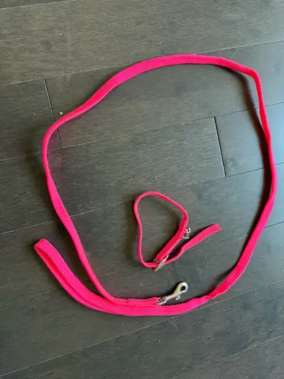 Laisse Chien Rose, View more