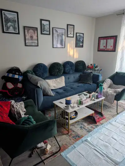 Hi! I'm looking for a roommate to share my cozy two-bedroom apartment, with a move-in date of Septem...