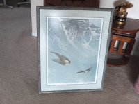 Bateman Peregrine Falcon & White Throated Swifts