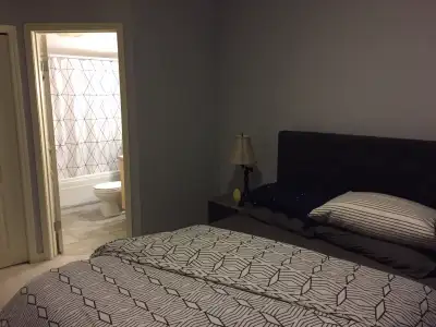 2 Bedroom Basement Legal Suite For Rent In Belmont