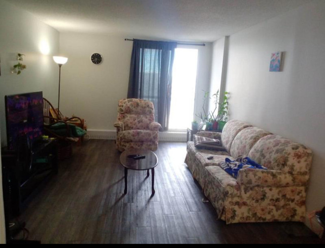 Room for rent in Room Rentals & Roommates in City of Halifax - Image 4