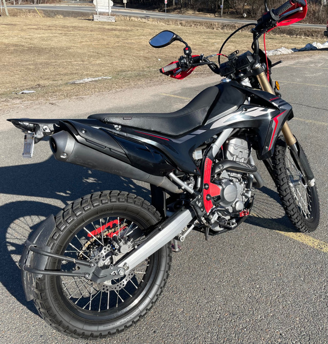 2020 CRF250L Dual Sport in Dirt Bikes & Motocross in Fredericton - Image 4