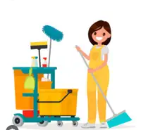 Looking for commercial evening  cleaning job 