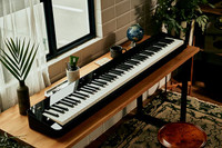 Piano digital Casio PX-S5000 - Piano Vertu
