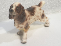 Kijiji springer hot sale spaniel