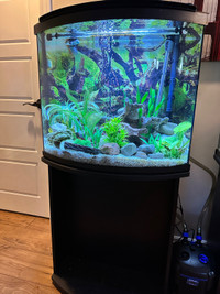 26 gallons bow front tank + accessories. 