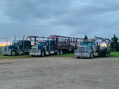 Looking for an experienced class one driver super B trailers, Cattle liner self picking bale truck H...
