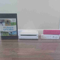Need a Nintendo wii for cottage ?