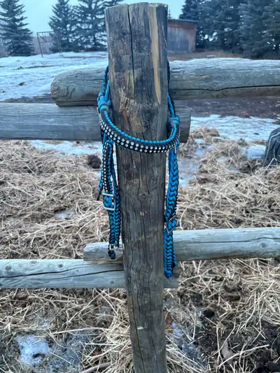 Blue nylon bridle, View more