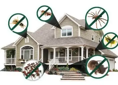 This summer make your home pest free and as safe as it can be. We service: Mice Cockroaches Bed Bugs...