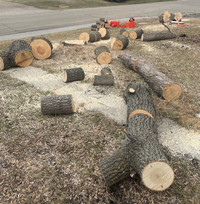 TREE REMOVAL / STUMP GRINDING