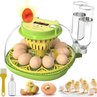 12 Egg Incubator with Auto Turning, Humidity Control, Candler &, View more