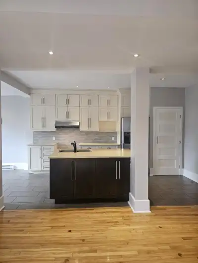 Spacious and Renovated 4 1/2