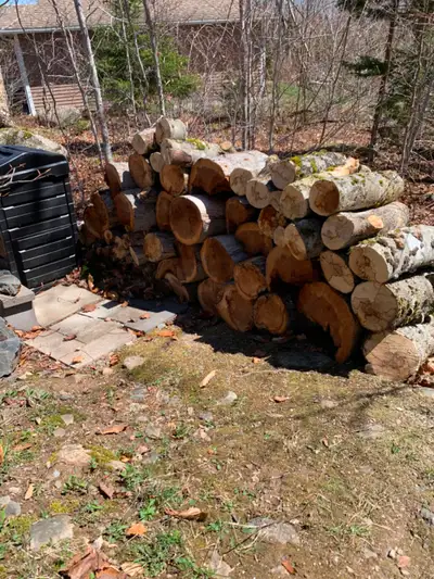 Hardwood free, View more