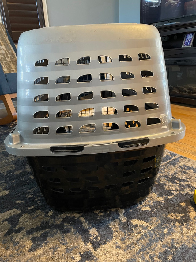 Petmate dog crate in Accessories in Gatineau - Image 2