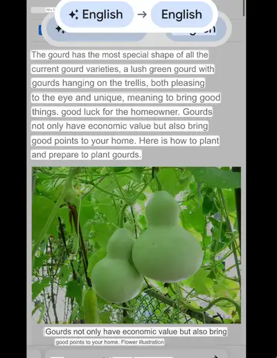 plant Birdhouse Bottle Gourd ( Bầu Hồ Lô ) , ha, View more