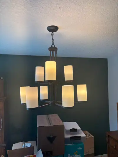 Chandelier/Light Fixture, View more