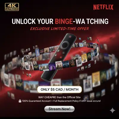 Netflix account, View more