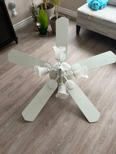 Ceiling Fan, View more