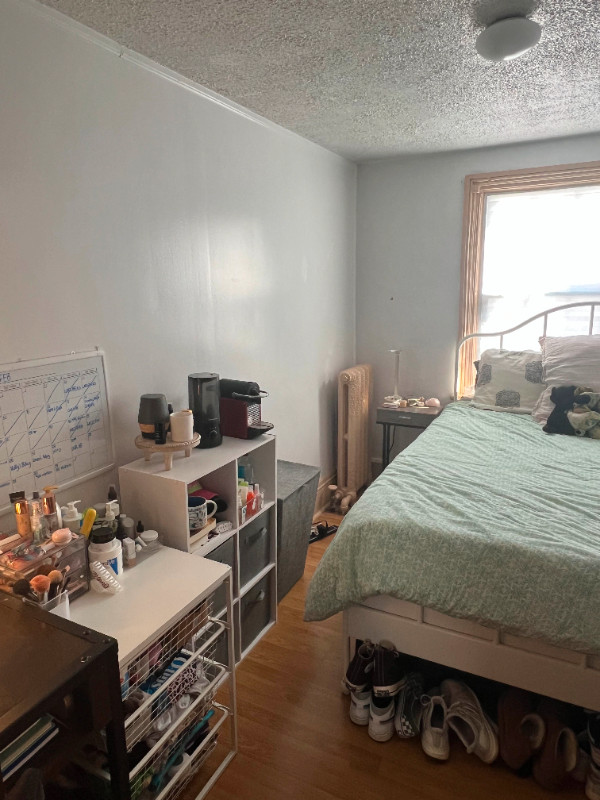 Kingston Queens student summer sublet in Room Rentals & Roommates in Kingston - Image 2