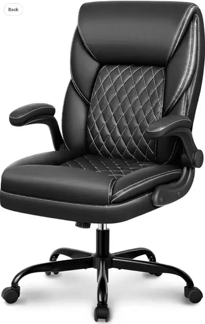 Executive Office Chair, View more