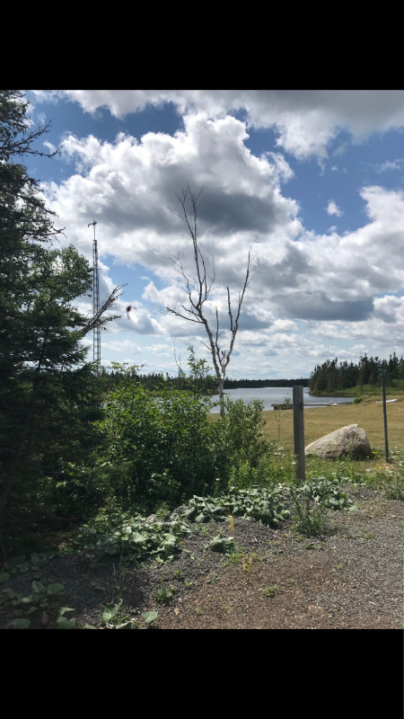 Land for sale on Strickland’s Pond near Lethbridge, NL in Land for Sale in St. John's