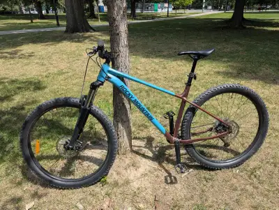 Rocky Mountain Growler 20 XL, View more