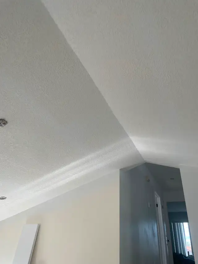 GOT MUD PROFESSIONAL DRYWALL SERVICES62863225781505124