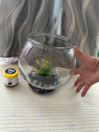 Aquarium (small) 