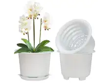 Flower/ plant   8 Inch Pot with Holes, Decorative Planter