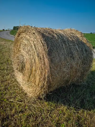 Round hay bales, View more