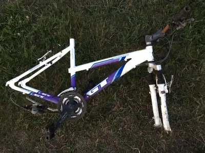 GT Aggressor Bike Frame. LOTS of parts here, View more